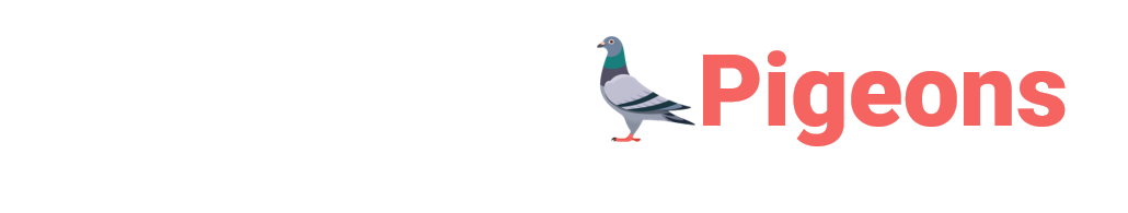 Dhaenens Pigeons